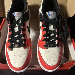 Nike Dunk Low GS | NBA Chicago Bulls | Size 6Y | New in Box