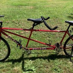 Roland Tandem. Bike Shop Quality TANDEM