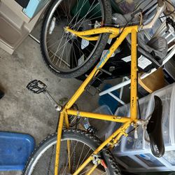 1986 Specialized Rockhopper 19” Frame - Deerhead Components