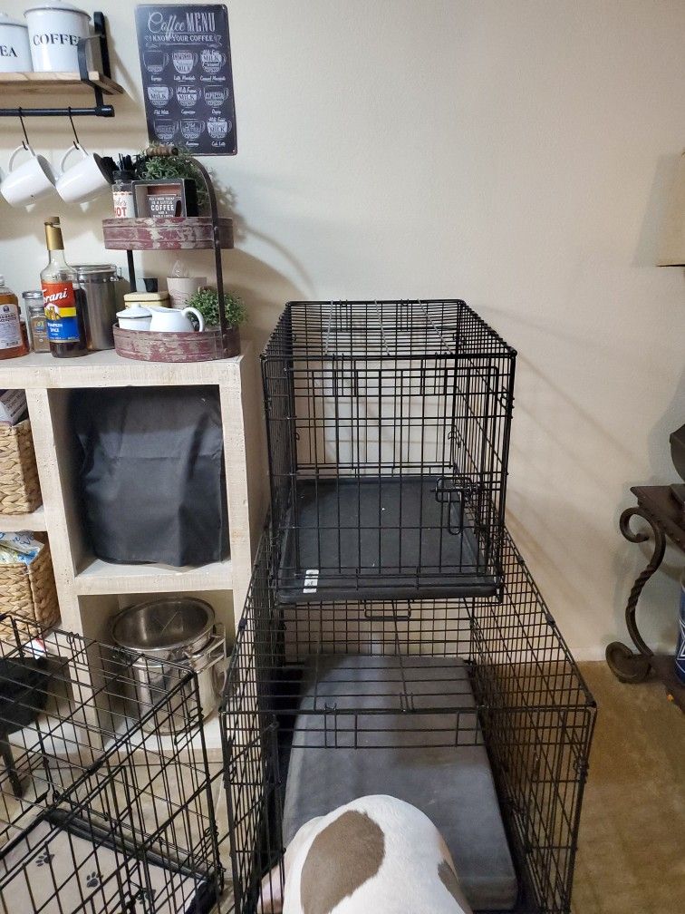 Small Dog Crate