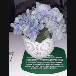 Set Of Two Home Decor 