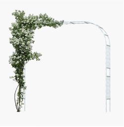 Used Metal Garden Arch