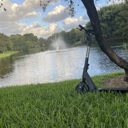 Used Bird Electric Scooter (comes With Charger)