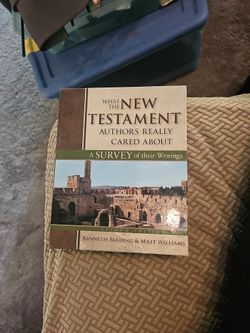 Textbook: What The New Testament Authors Really Cared About: