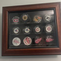 Signed Hockey Pucks  Display 
