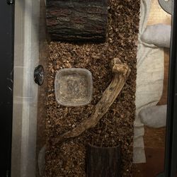 Wood Hides And Log