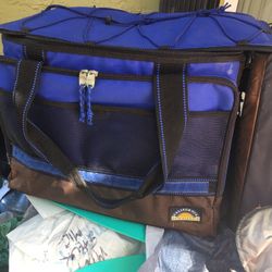 California Innovations Coolers & Artic Zone 