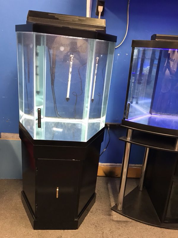 60 gallon Hexagon Aquarium fish tank complete set up 400