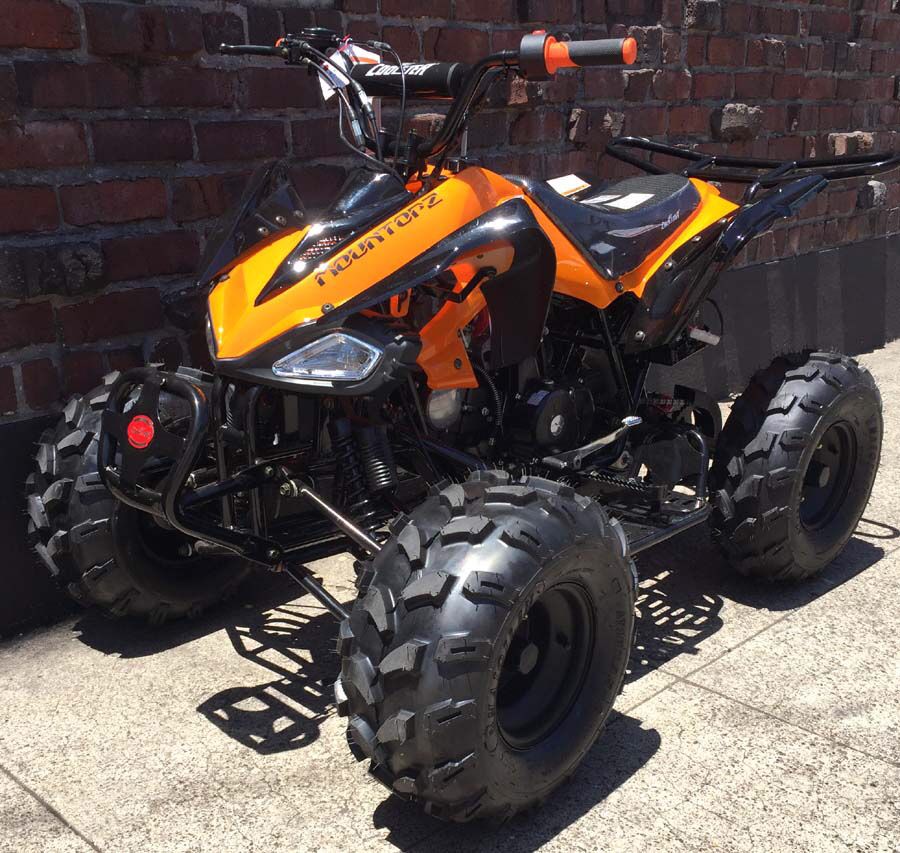 125cc big farm quad ATV