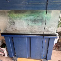 Free - 55 Gallon Aquarium 