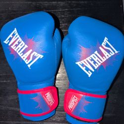 EVERLAST BOXING GLOVES 