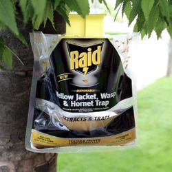 Raid Disposable Yellow Jacket Wasp & Hornet Trap Attracts & Traps - New Lot Of 5