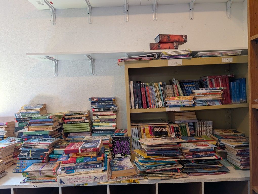 HUGE LOT Children's Books/Classroom/Homeschool