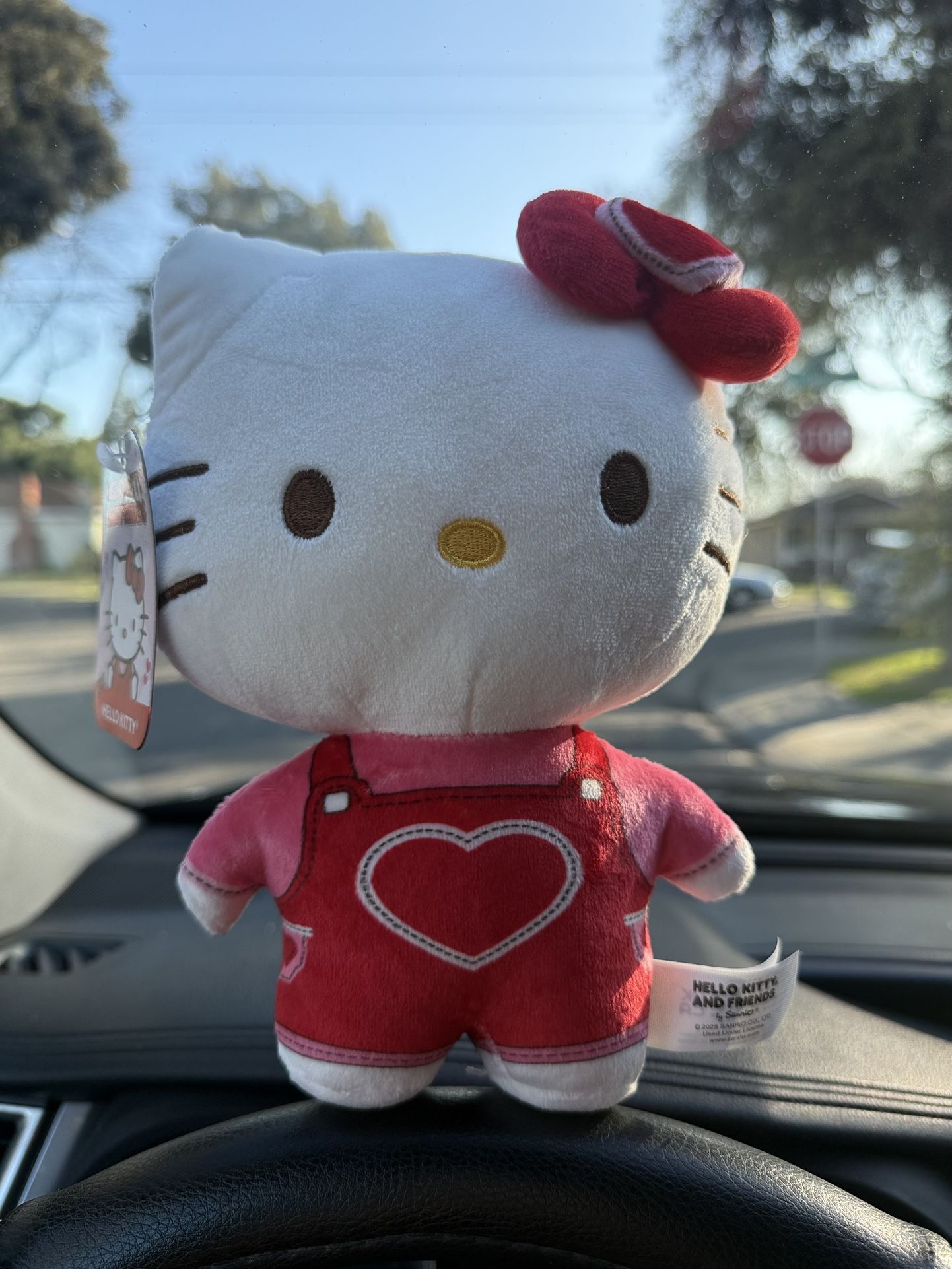 Hello Kitty Valentines Plush. New
