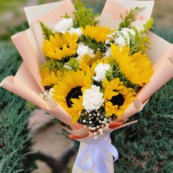 Ramos Listo A LA Venta