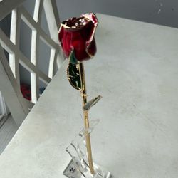 Ruby Red Rose 
