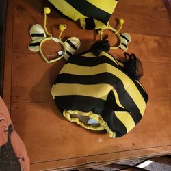 Bumble Bee Costume For Halloween