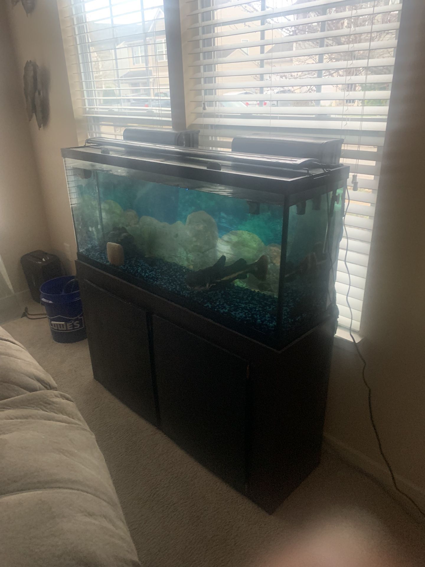 55 Gallon Fish Tank With Stand