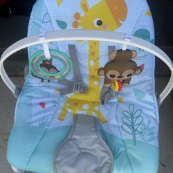 Baby Bouncer