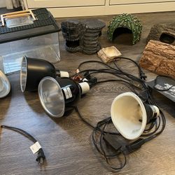 Lizard Reptile Gecko Cafe Supplies 