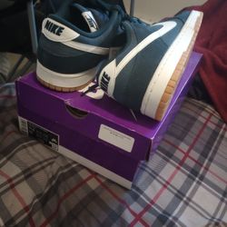 Nike Dunks Lows Retro SE Size 11.5 