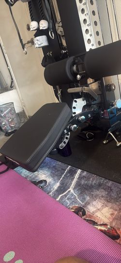 Rep fitness pegasus