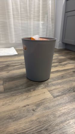 Bathroom trashcan