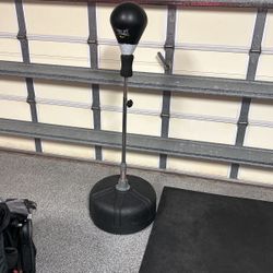 Everlast Flex punching bag