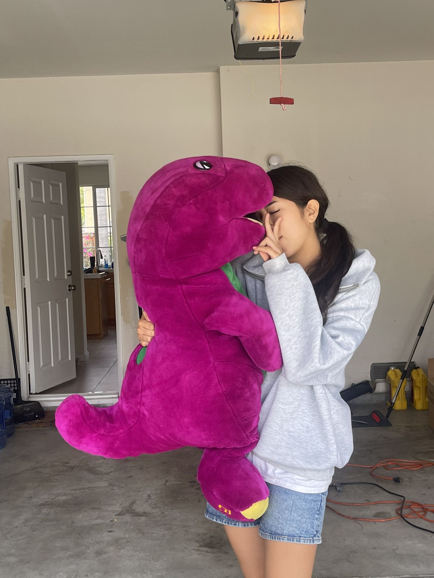 Big Barney 