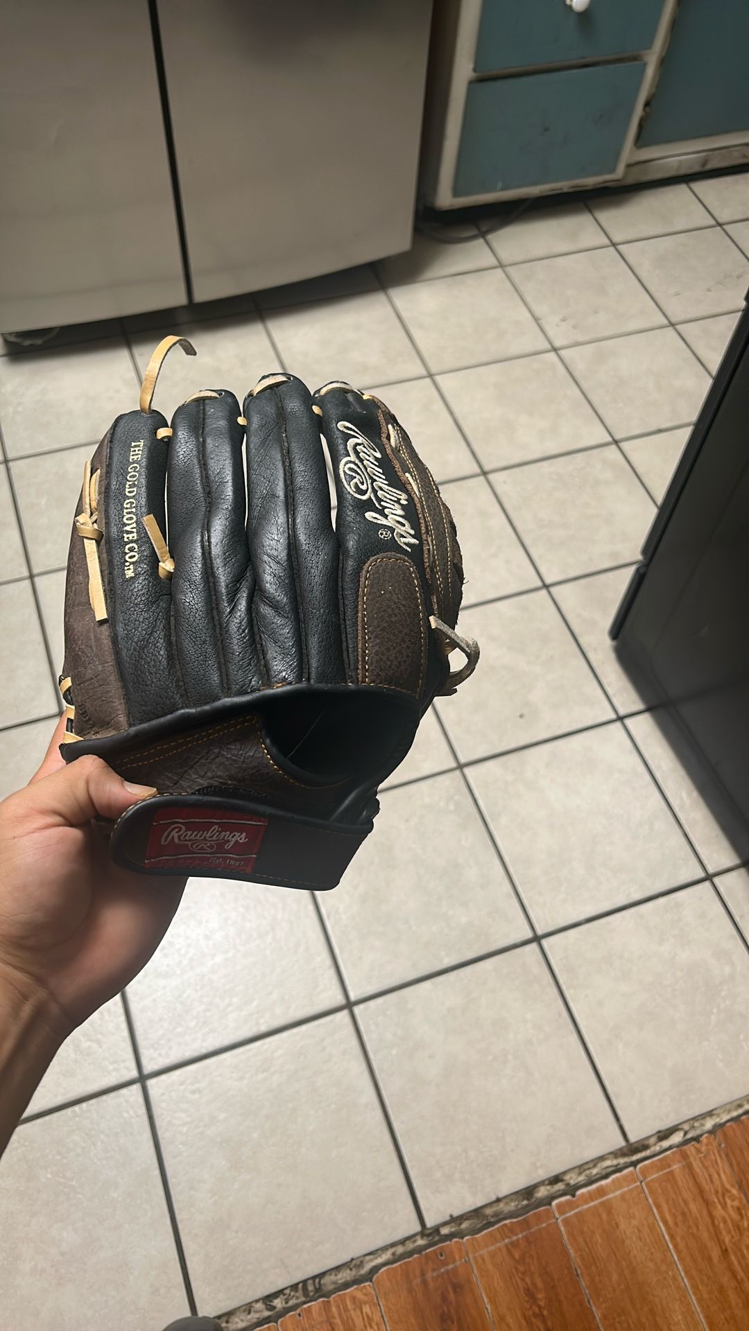 Baseball Glove