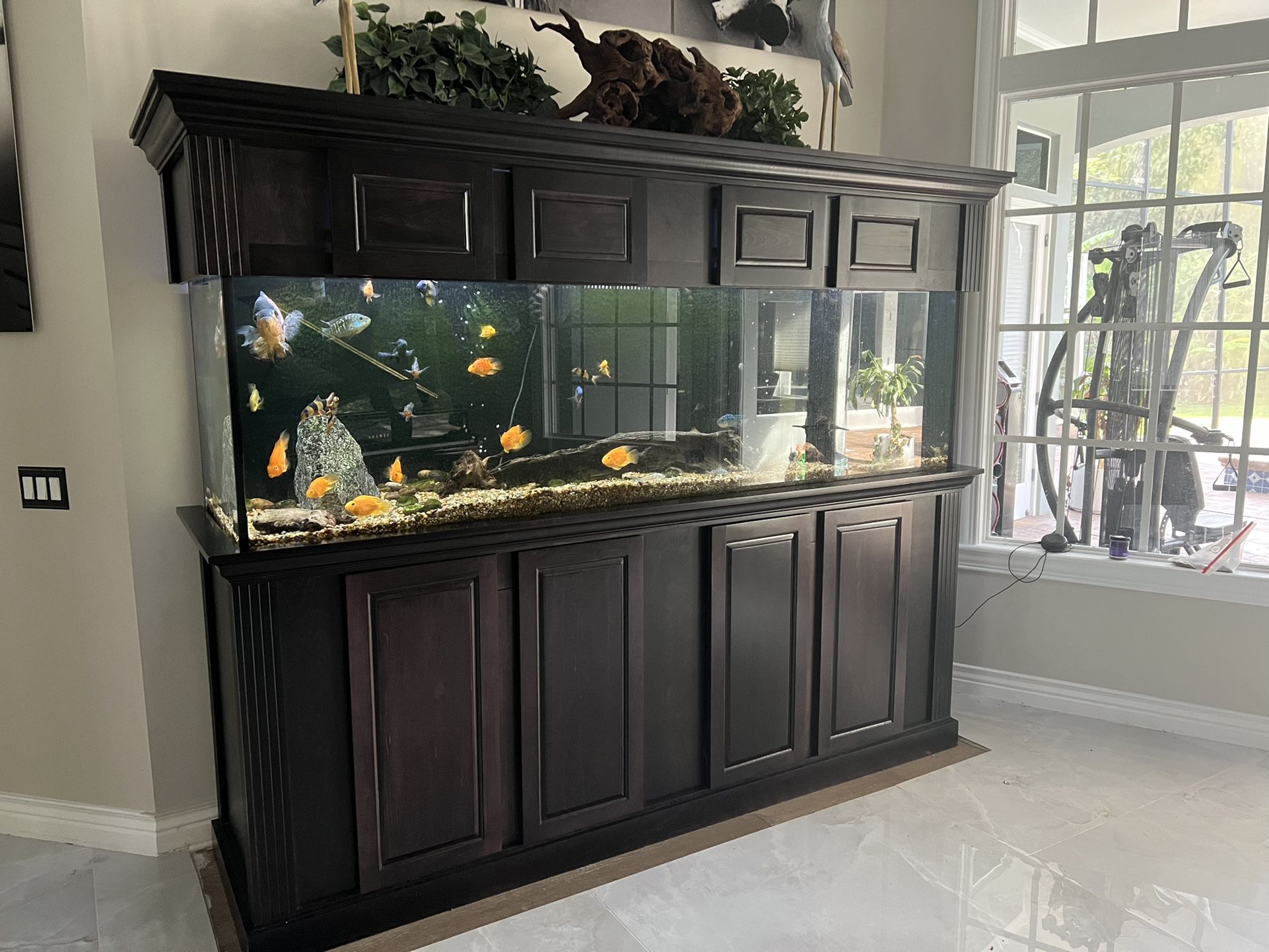 Huge 300 Gallon Aquarium / Fish Tank