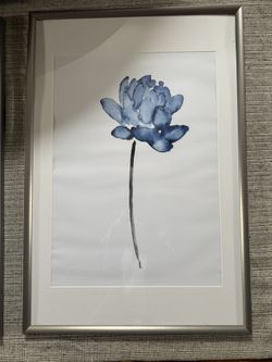 2 Large Frames With Floral Print