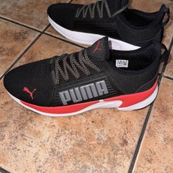 Pumas