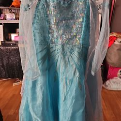 Elsa (Frozen)  Disney Store Costume 