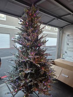 New Grand Duchess 7.5 Feet Balsam Fir Flocked Pre Lit Tree