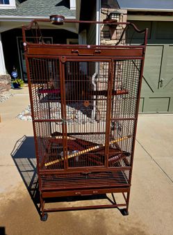Large Bird Cage $500