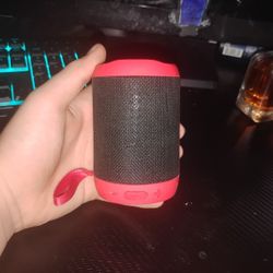 Speaker