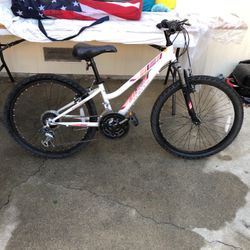 Trayl mountain bike price 2025
