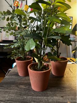 Fake Plants - Home Decor