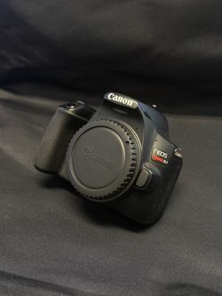 Canon SL3 w/ EF-S 17-55mm Lens