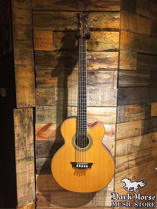 Dean Acoustic/Electric 5-string Bass