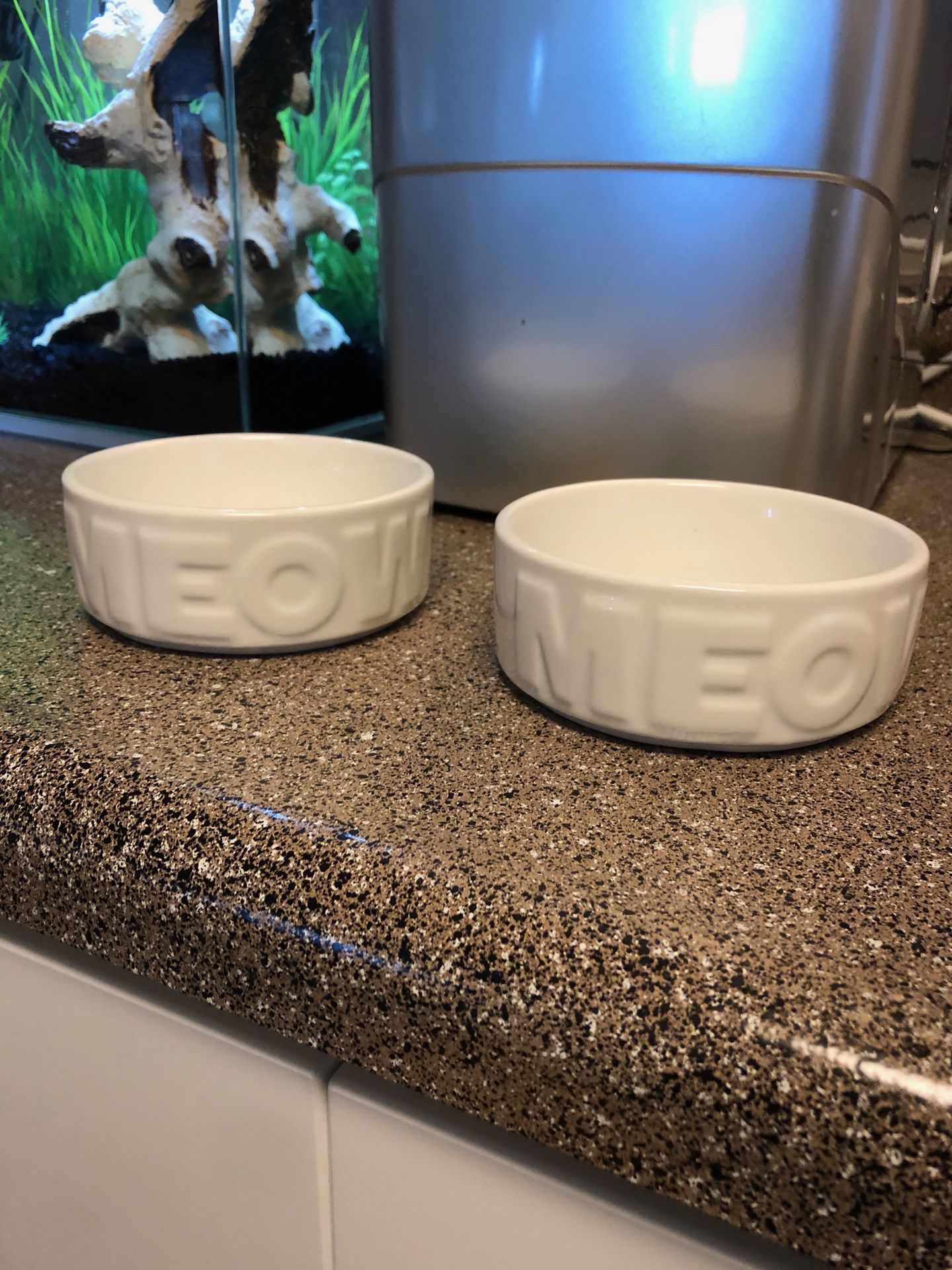 Cat bowls