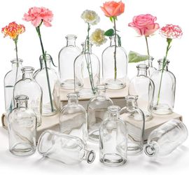 Cash Only 75234 New $1 Ea Clear Bud Vases