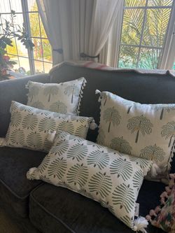 Indoor outdoor pillows. Never used outside! Perfect condition