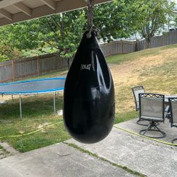 Everlast Water Punching Bag. 