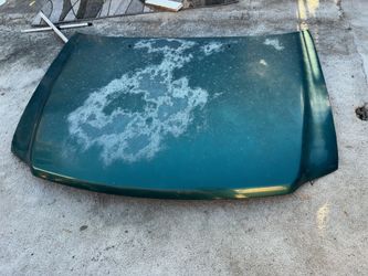 F150 Hood