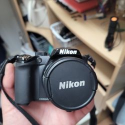 Nikon P100