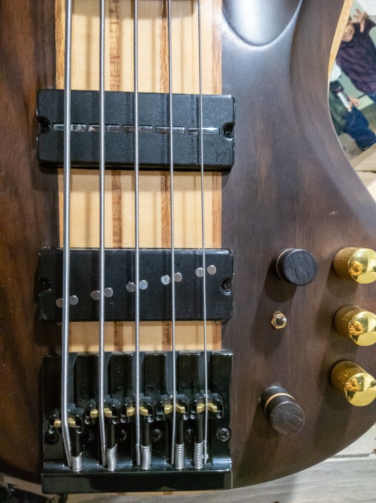 ESP B5 5 String Bass