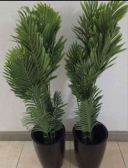 *** JUST REDUCED *** PAIR of 4ft Faux Golden Cane Palms in 16in Black Planters (2 for $90) @ Lasting Creations