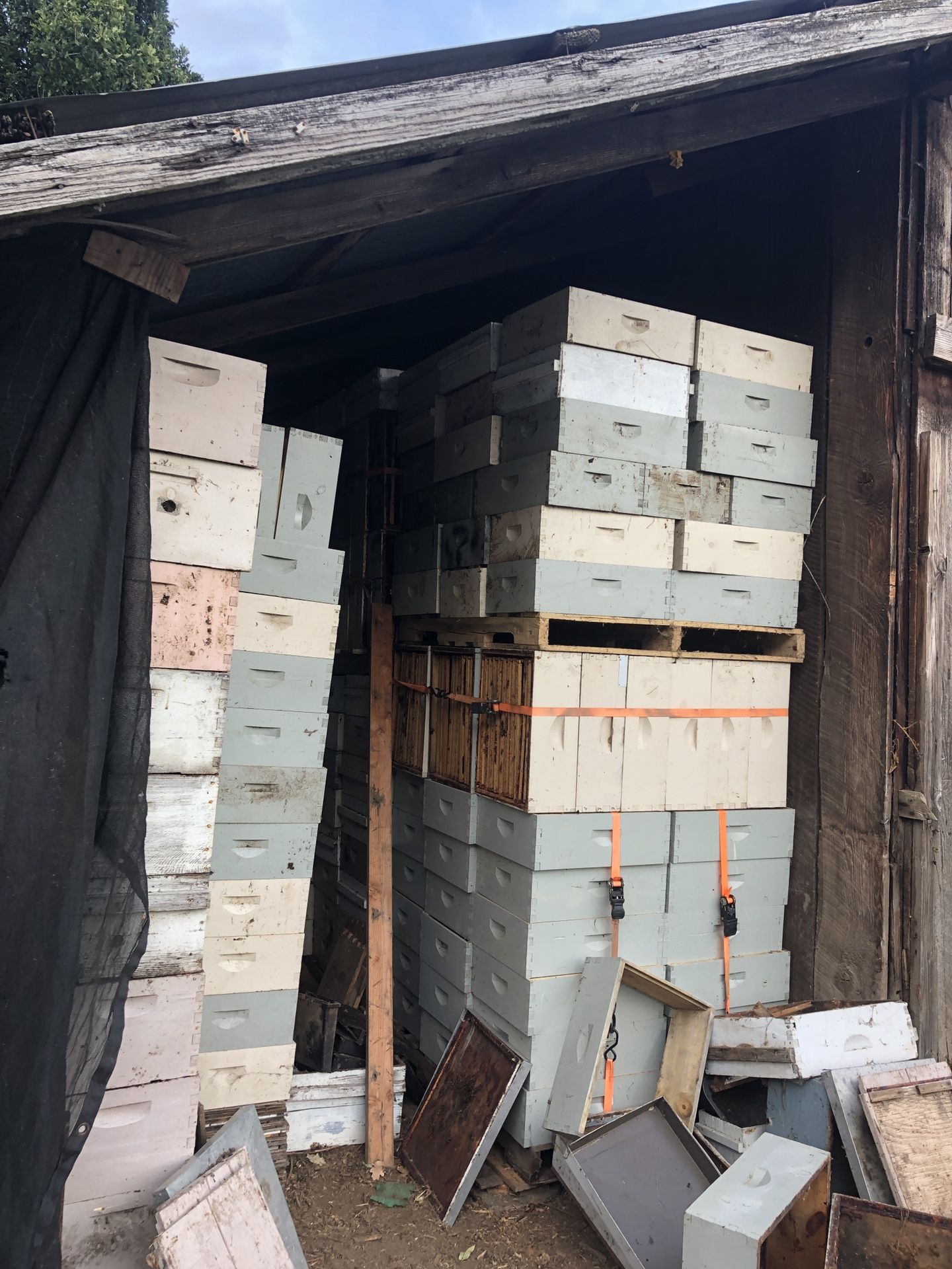 Bee hives box , new frames , new foundation , covers , cover , new